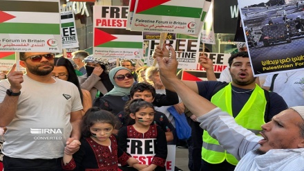 Disa vende islame deklarojnë solidaritet me popullatën palestineze në Rripin e Gazës