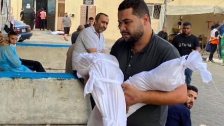 Serangan Udara Israel Dekat Rumah Sakit Shifa di Gaza