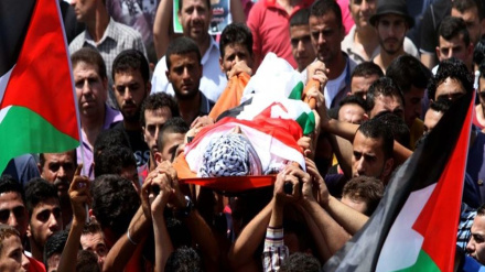 شمار شهدای فلسطینی از 5 هزار نفر گذشت
