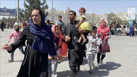 سازمان ملل خطاب به پاکستان: هیچ مهاجری نباید به زور از کشوری اخراج شود