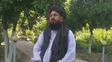 د ننګرهار کانال شرکت زرګونو غصب شوي ځمکې خلاصې کړي دي نور حال دلته لرو