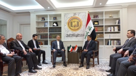 FM discusses regional issues with Iraqi security advisor