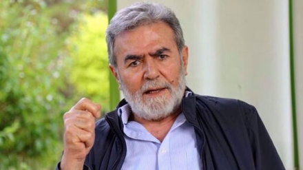 Nakhala: Best way for enemy to prevent further loss of its forces is to admit defeat
