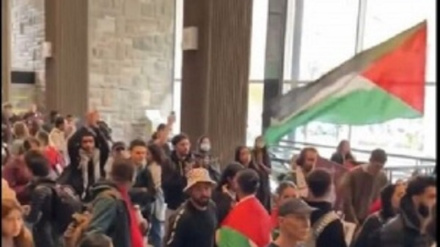 Studenti americani e canadesi manifestano a sostegno di Gaza