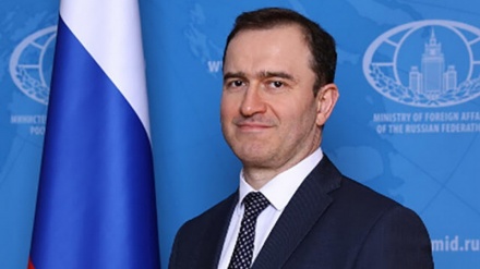 Посол России в Багдаде: Америка играет деструктивную роль по отношению к Палестине