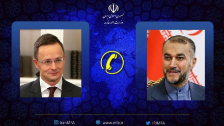 עבדולהיאן: המשך ההתקפות של הישות הציונית על עזה הופך את הנסיבות למורכבות יותר