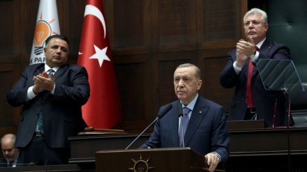 Erdogan cancels visit to Occupied Palestine following regime’s atrocities in Gaza strip