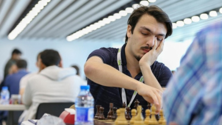     Azərbaycanlı şahmatçı dünya çempionu olub