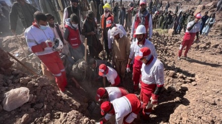 همدردی از جنس همسایگی