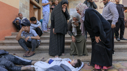 Over 2000 artists call for immediate end of Israel's war crimes in Gaza