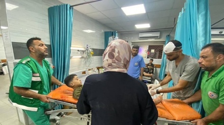 Puluhan Warga Palestina Gugur Diterjang Rudal Israel