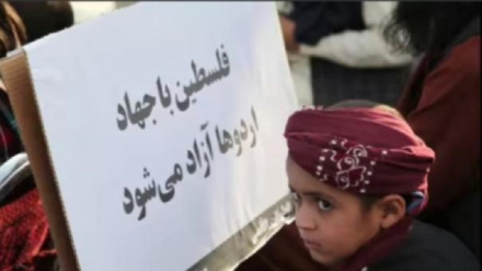 د کابل خلکو د فلسطین په ملاتړ کښې مظاهرې وکړې نور حال دلته لرو
