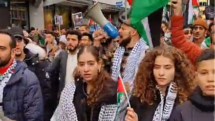 Глобальная поддержка Газы; массовые демонстрации в Норвегии и Бельгии с осуждением преступлений сионистского режима 