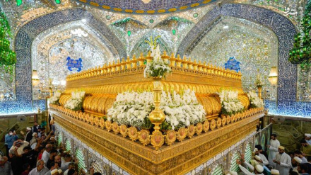 (FOTO) L'Eid Miladun Nabi (SAW) a Najaf