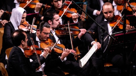 イランの芸術、 バイオリン