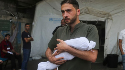 More children massacred in Gaza in 3 weeks than from global conflicts annually since 2019: NGO