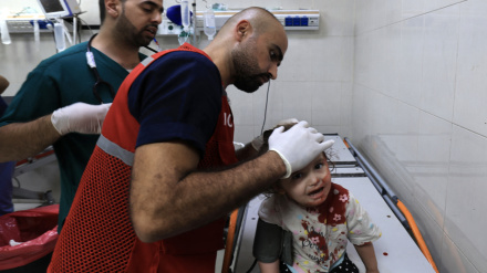 Gaza will run out of blood bags next week: Blood bank manager warns