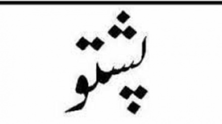 زبان نیاکان