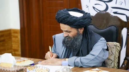 طالبان اجرای ۲۵ طرح عمرانی و انکشافی را تصویب کرد