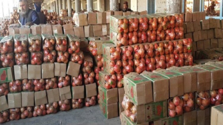 له کندهار څخه څه باندې۳۳ زره ټنه انار بهرنیو هېوادونو ته صادر شوي