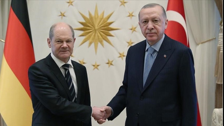 Телефонный разговор Эрдогана с канцлером Германии