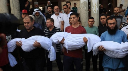 Газада шәһид болғандар саны 8306 адамға жетті