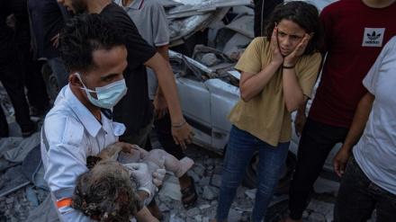 巴勒斯坦烈士人数增至5500多人 