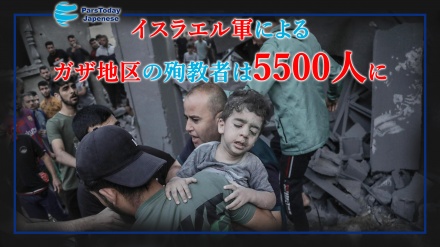 ガザ地区のパレスチナ人殉教者数が5500人を突破