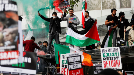 Tubime protestuese të përkrahësve të Palestinës dhe regjimit sionist në vende të ndryshme të botës (2)/Foto