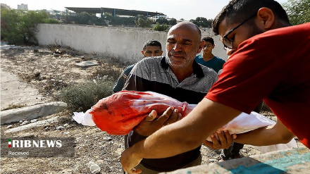 (FOTO) Gaza, l’infinito orrore della guerra - 1