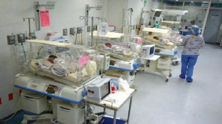 یوې مور لسو دقیقو   کښې  شپږ ماشومان وزیږول