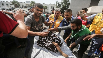 Rritet numri i civilëve të vrarë në Gaza në 8306 persona; 3457 persona janë fëmijë