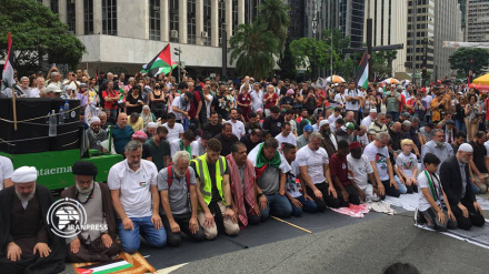 Массовые антисионистские протесты в Бразилии