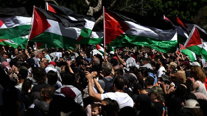 “同一个周五”声援加沙地带居民的示威游行