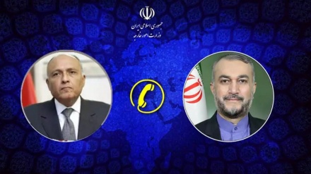 Продолжение консультаций Амир-Абдоллахиана по прекращению преступлений сионистского режима в секторе Газа