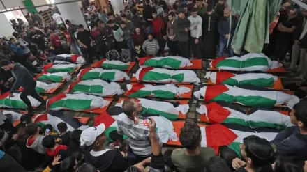 Numri i dëshmorëve në Gaza është rritur në 8100 persona