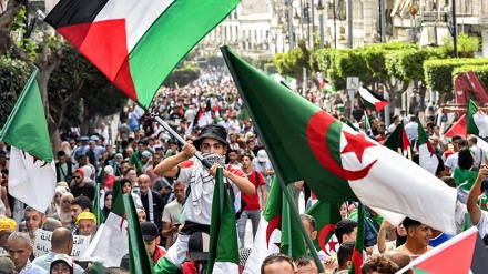 Algeria kuwa mwenyeji wa mkutano wa kujadili njia za kuishtaki Israel ICC