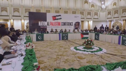  Pakistanis demand to launch criminal proceedings against Israel in International Court of Justice 