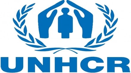 د کډوالو عالي کمېشنرۍ د بشري ویزې د جعل په اړه خبرداری ورکړ