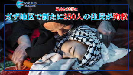 過去24時間にガザ地区で新たに250人の住民が殉教