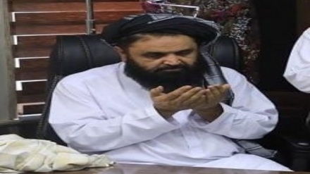 سفیر طالبان در ابوظبی منصوب شد