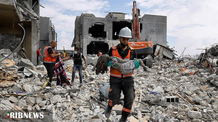 Призыв исламских ассоциаций европейских студентов о немедленном прекращении нападений сионистского режима на Газу