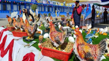 په کندز کې د کرنیزو توکو درې ورځنۍ نندارتون جوړ شو