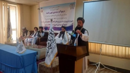 سرپرست وزارت انرژی و آب طالبان: اعضای القاعده برادران ما هستند