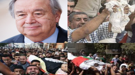 Աշխարհի 298  նշանավոր դեմքերի նամակը ՄԱԿ-ի գլխավոր քարտուղարին՝ Սիոնիստական ռեժիմի հանցագործությունները դատապարտելու և Պաղեստինի իրավազրկված ժողովրդին սատարելու համար