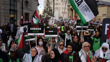 Manifestazioni pro-Palestina in Germania + VIDEO