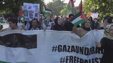 Pakistanis hold rallies to condemn Israeli aggression in Gaza