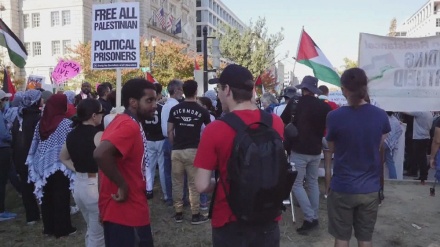 All out for Gaza: Pro-Palestinian rally held in front of White House