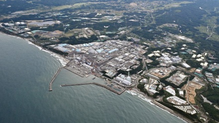 日本とロシアが水産物の安全性について協議、福島第一原発の処理水放出を受け