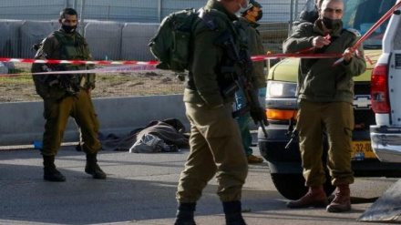Tre palestinesi, tra cui un bambino, sono stati feriti al centro di Al-khalil